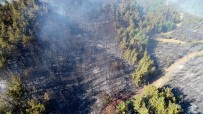 Pozantı'daki Orman Yangınında Terör Şüphesi Haberi