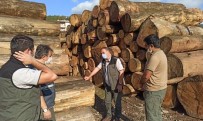 Ulus Orman İşletme Müdürlüğünde Yapılan Çalışmalar Yerinde İnceledi Haberi