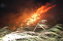 Gece Yarısı Korkutan Yangın Açıklaması 500 Dönüm Anız Alev Alev Yandı