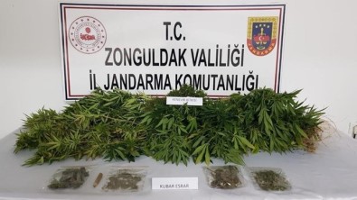 Jandarmadan Uyuşturucu Operasyonu Açıklaması 1 Gözaltı