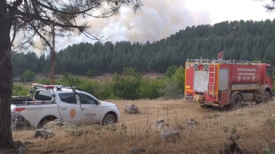 Amanoslar'daki Orman Yangını Kontrol Altına Alındı
