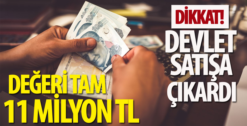 Devlet, çifte yerini 11 milyona satıyor