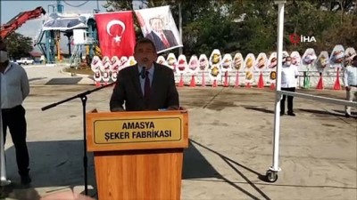 Amasya Şeker Fabrikası'nda 67. Pancar Alım Kampanyası Başladı