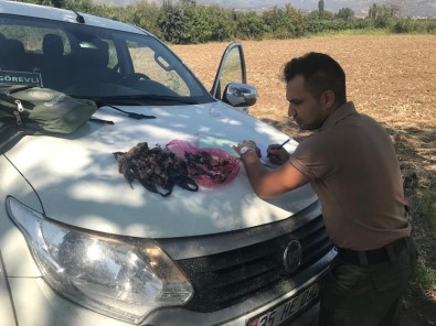 Aydın'da 4 Avcıya 20 Bin TL Ceza