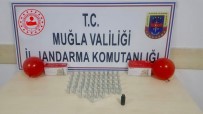 Jandarma'dan Uyuşturucu Operasyonu Açıklaması 5 Gözaltı