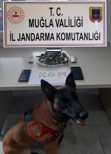 'Kaptan'dan Uyuşturucuya Geçit Yok