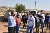 Mardin'de 25 Yıllık Kan Davası Barışla Sonuçlandı Haberi