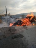 Aşıkşenlik Mahallesi'nde Ot Yangını