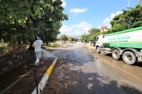 Başiskele'de Temizlik Çalışmaları Devam Ediyor