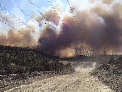 Gelibolu'daki Yangın Şiddetli Rüzgarın Etkisiyle Büyüyor