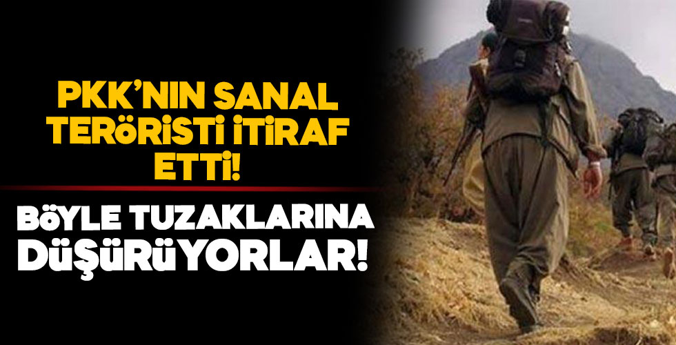 PKK'nın sanal teröristi itiraf etti!