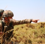 Siirt'te PKK'lı Teröristlere Ait Sığınaklar İmha Edildi Haberi