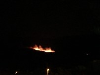 Soma'da Ormanlık Alanda Yangın