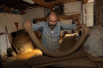 Tandır Ustası Purutoğlu Türkiye'de Yılın Ahisi Seçildi