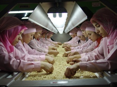 Düzce'den AB Ülkelerine 254 Bin 900 Kilo Fındık İhraç Edildi