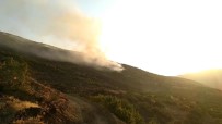 Elazığ'daki Orman Yangını 30 Saatte Kontrol Altına Alındı