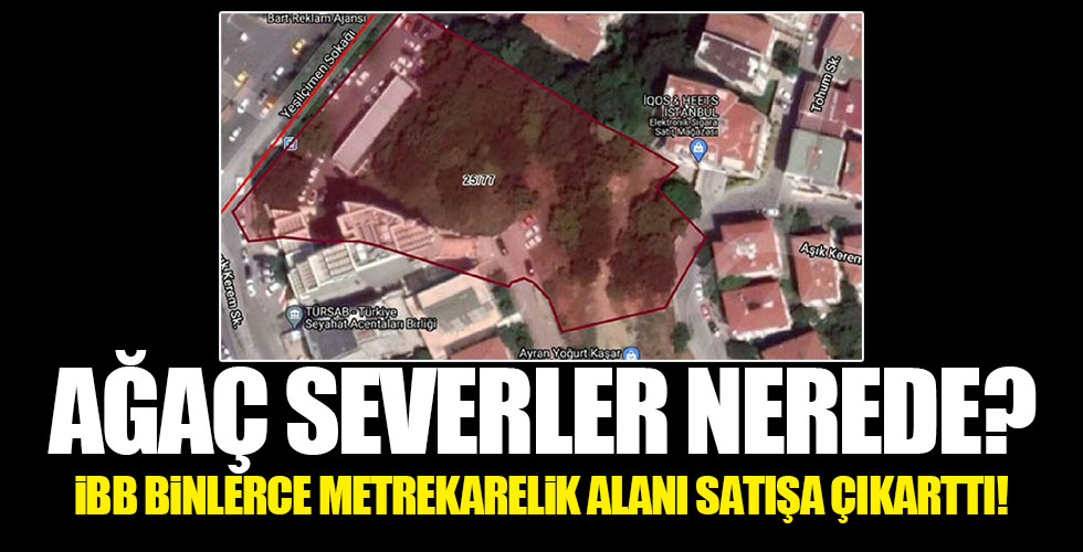 İBB binlerce metrekarelik ağaçlık alanı satışa çıkarttı!