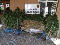 Manisa'da Uyuşturucu Operasyonu