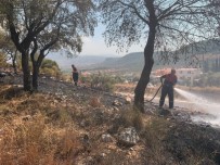 Milas'ta Otluk Yangını Söndü, Güvercinlikte Orman Yangını Başladı