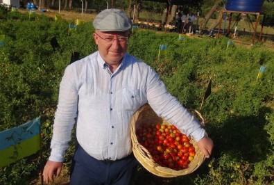 Ata Tohumları Menteşe Belediyesine Ödül Getirdi