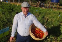 Ata Tohumları Menteşe Belediyesine Ödül Getirdi