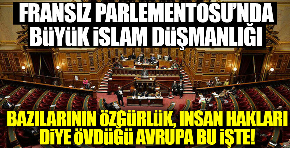 İslam düşmanları yine sahnede!