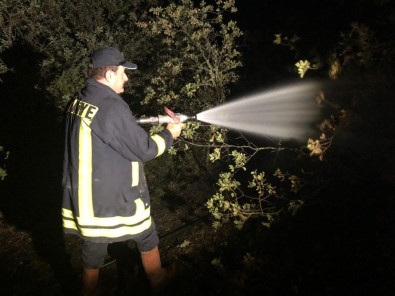 Kastamonu'da Ağaçlık Alanda Çıkan Yangın 3 Saatte Söndürülebildi