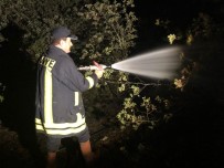 Kastamonu'da Ağaçlık Alanda Çıkan Yangın 3 Saatte Söndürülebildi Haberi