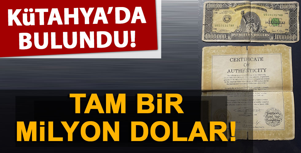 Kütahya'da bulundu! Bir milyon dolar!