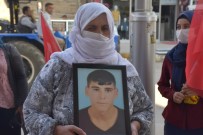 Şırnaklı Anne HDP İl Binasına Gelerek Dağa Kaçırılan Oğlunu İstedi