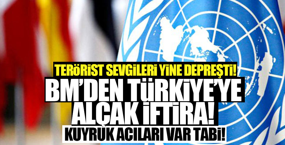 BM'den Türkiye'ye çirkin iftira!