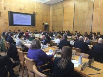 'Çölleşme Ve Erozyonla Mücadele Deneyimimizi Dünyaya Aktarıyoruz'