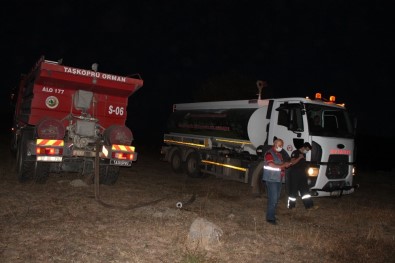 Tosya'da 15 Hektar Ormanlık Alan Yandı