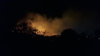 Ayvalık Beydağ'da Orman Yangını