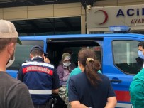 Çığlıklarına Karşılık Bulamadı, Kardeş Katili Oldu