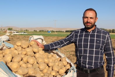 Cipslik Patates Satış Fiyatları Üreticisinin Yüzünü Güldürüyor