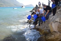 Kumluca'da 5 Bin Levrek Yavrusu Denizle Buluştu