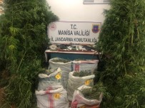 Manisa'da Uyuşturucu Operasyonu Açıklaması 2 Gözaltı Haberi