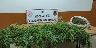 Niğde'de 1 Kilo 700 Gram Kubar Esrar Ele Geçirildi