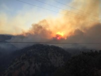 Bingöl'de 2 Ormanlık Alanda Yangın Kontrol Altına Alındı, 1 Alanda Devam Ediyor Haberi