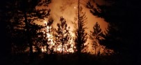 Bolu'da Orman Yangını Açıklaması Çok Sayıda Ekip Müdahale Ediyor