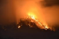 Büyükşehir Belediyesi Nallıhan'daki Yangın İçin Seferber Oldu Haberi