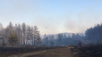 Çankırı'da Orman Yangınına 2 Helikopter Ve 1 Uçak Destek Verdi