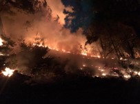 Mersin'de Orman Yangını