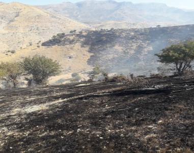 Şırnak'ta Ağaçlık Alanda Yangın Açıklaması Yüzlerce Dönüm Alan Kül Oldu