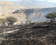 Şırnak'ta Ağaçlık Alanda Yangın Açıklaması Yüzlerce Dönüm Alan Kül Oldu Haberi