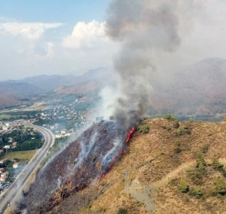 Dalaman'da Orman Yangını