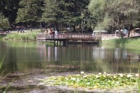 HES Koduyla Girilen Gölcük Tabiat Parkı'na Yoğun İlgi