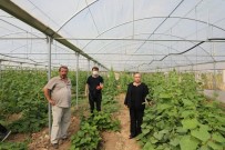 Eskişehir'in Şahıs Bazlı En Büyük Organik Tarım Üreticisi Sarıcakaya'dan Haberi