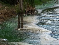 İNSANOĞLU - Eyüpsultan'da göle kimyasal atık boşalttılar